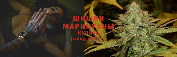 ГАЛЛЮЦИНОГЕННЫЕ ГРИБЫ Белоозёрский