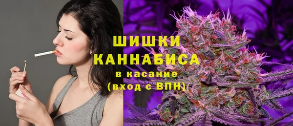 ГАЛЛЮЦИНОГЕННЫЕ ГРИБЫ Белоозёрский