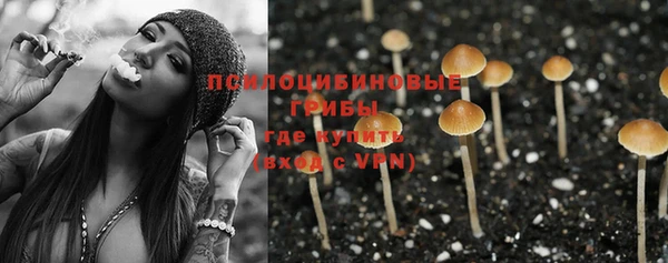 молекула духа Беломорск