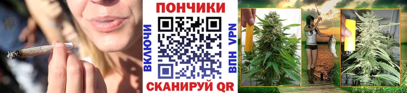 Купить где  Тутаев  Конопля Bruce Banner 